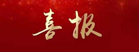 喜報 | 正誠咨詢集團喜獲龍湖集團鄭州公司“地區(qū)戰(zhàn)略合作單位”榮譽