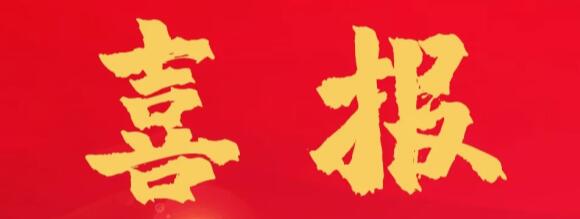 喜報 | 正誠咨詢喜獲金地集團西部區(qū)域“優(yōu)秀合作方”榮譽