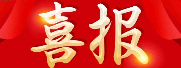 喜報 | 正誠咨詢集團(tuán)喜獲金地集團(tuán)“最佳配合精英獎”